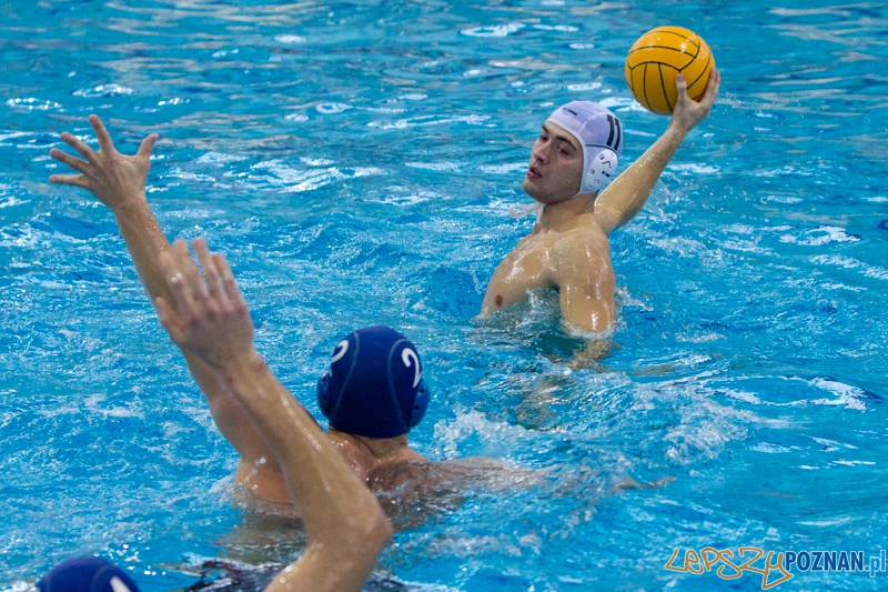 DSW Waterpolo Poznań - WTS Bytom, Termy Maltańskie 24.11.2013 r. (Oskar Szymoniak) Foto: lepszyPOZNAN.pl / Piotr Rychter DSW Waterpolo Poznań - WTS Bytom, Termy Maltańskie 24.11.2013 r. (Oskar Szymoniak) Foto: lepszyPOZNAN.pl / Piotr Rychter