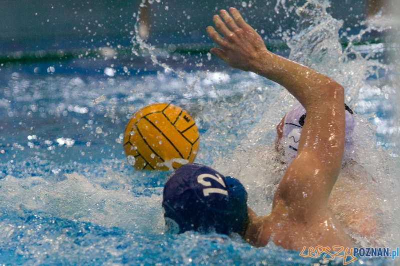 DSW Waterpolo Poznań - WTS Bytom, Termy Maltańskie 23.11.2013 r. Foto: lepszyPOZNAN.pl / Piotr Rychter DSW Waterpolo Poznań - WTS Bytom, Termy Maltańskie 23.11.2013 r. Foto: lepszyPOZNAN.pl / Piotr Rychter