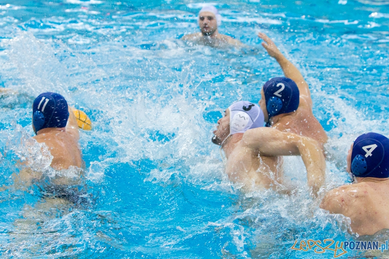 DSW Waterpolo Poznań - WTS Bytom, Termy Maltańskie 24.11.2013 r. (Rafał Iwanowicz) Foto: lepszyPOZNAN.pl / Piotr Rychter DSW Waterpolo Poznań - WTS Bytom, Termy Maltańskie 24.11.2013 r. (Rafał Iwanowicz) Foto: lepszyPOZNAN.pl / Piotr Rychter