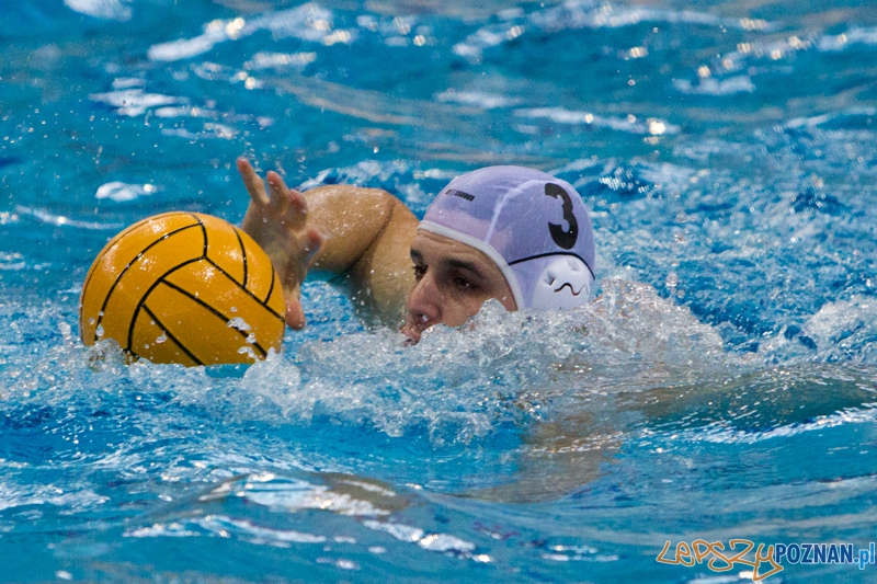 DSW Waterpolo Poznań - WTS Bytom, Termy Maltańskie 24.11.2013 r. (Rafał Iwanowicz) Foto: lepszyPOZNAN.pl / Piotr Rychter DSW Waterpolo Poznań - WTS Bytom, Termy Maltańskie 24.11.2013 r. (Rafał Iwanowicz) Foto: lepszyPOZNAN.pl / Piotr Rychter