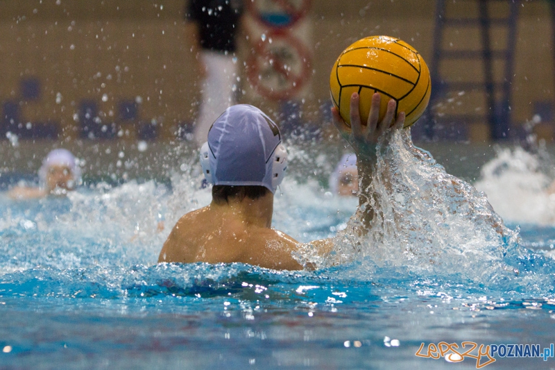 DSW Waterpolo Poznań - WTS Bytom, Termy Maltańskie 23.11.2013 r. (Rafał Bocheński) Foto: lepszyPOZNAN.pl / Piotr Rychter DSW Waterpolo Poznań - WTS Bytom, Termy Maltańskie 23.11.2013 r. (Rafał Bocheński) Foto: lepszyPOZNAN.pl / Piotr Rychter