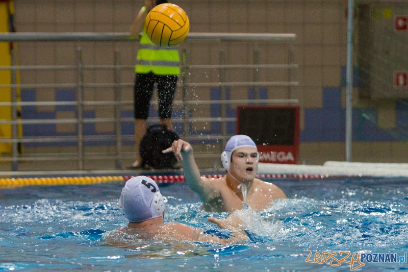 DSW Waterpolo Poznań - WTS Bytom, Termy Maltańskie 24.11.2013 r. Foto: lepszyPOZNAN.pl / Piotr Rychter DSW Waterpolo Poznań - WTS Bytom, Termy Maltańskie 24.11.2013 r. Foto: lepszyPOZNAN.pl / Piotr Rychter