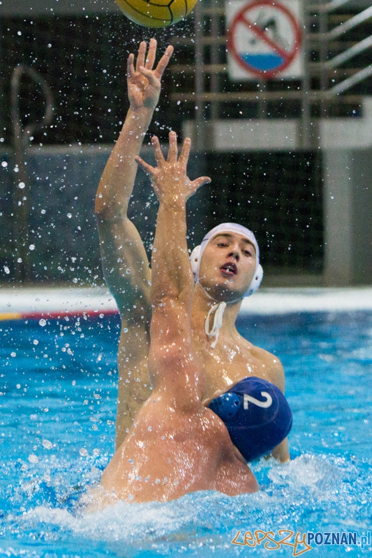 DSW Waterpolo Poznań - WTS Bytom, Termy Maltańskie 23.11.2013 r. Foto: lepszyPOZNAN.pl / Piotr Rychter DSW Waterpolo Poznań - WTS Bytom, Termy Maltańskie 23.11.2013 r. Foto: lepszyPOZNAN.pl / Piotr Rychter
