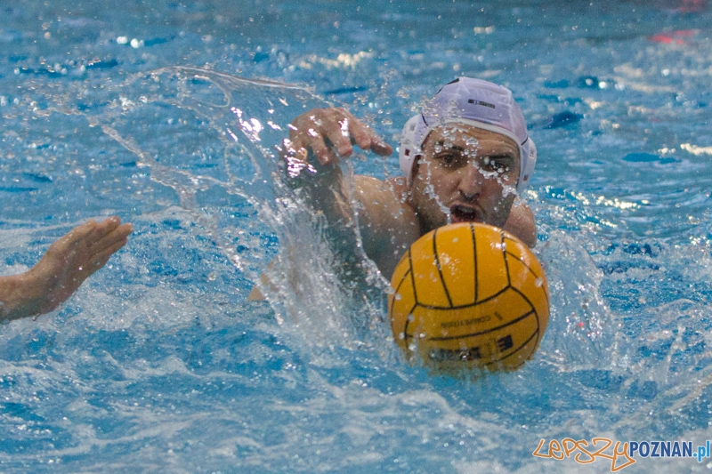 DSW Waterpolo Poznań - WTS Bytom, Termy Maltańskie 24.11.2013 r. (Tomasz Różycki) Foto: lepszyPOZNAN.pl / Piotr Rychter DSW Waterpolo Poznań - WTS Bytom, Termy Maltańskie 24.11.2013 r. (Tomasz Różycki) Foto: lepszyPOZNAN.pl / Piotr Rychter