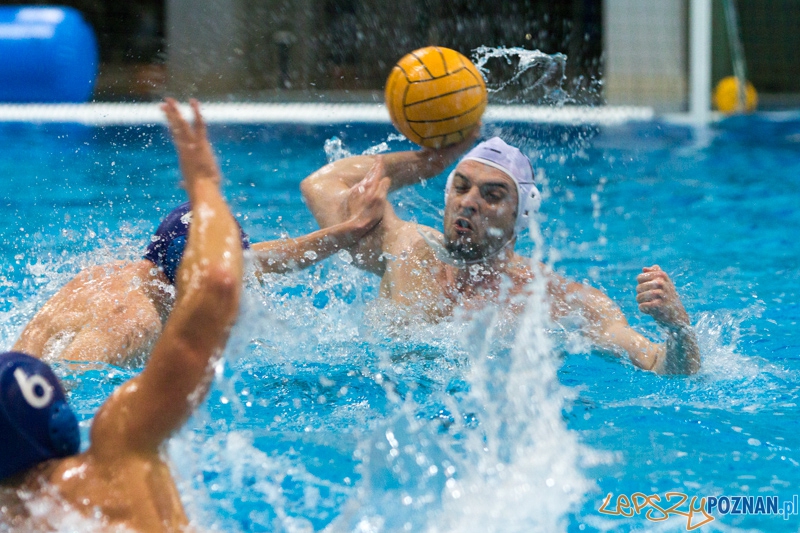 DSW Waterpolo Poznań - WTS Bytom, Termy Maltańskie 23.11.2013 r. (Tomasz Różycki) Foto: lepszyPOZNAN.pl / Piotr Rychter DSW Waterpolo Poznań - WTS Bytom, Termy Maltańskie 23.11.2013 r. (Tomasz Różycki) Foto: lepszyPOZNAN.pl / Piotr Rychter