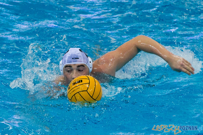 DSW Waterpolo Poznań - WTS Bytom, Termy Maltańskie 24.11.2013 r. (Dawid Łuc) Foto: lepszyPOZNAN.pl / Piotr Rychter DSW Waterpolo Poznań - WTS Bytom, Termy Maltańskie 24.11.2013 r. (Dawid Łuc) Foto: lepszyPOZNAN.pl / Piotr Rychter