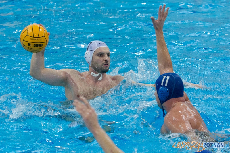 DSW Waterpolo Poznań - WTS Bytom, Termy Maltańskie 24.11.2013 r. (Tomasz Różycki) Foto: lepszyPOZNAN.pl / Piotr Rychter DSW Waterpolo Poznań - WTS Bytom, Termy Maltańskie 24.11.2013 r. (Tomasz Różycki) Foto: lepszyPOZNAN.pl / Piotr Rychter