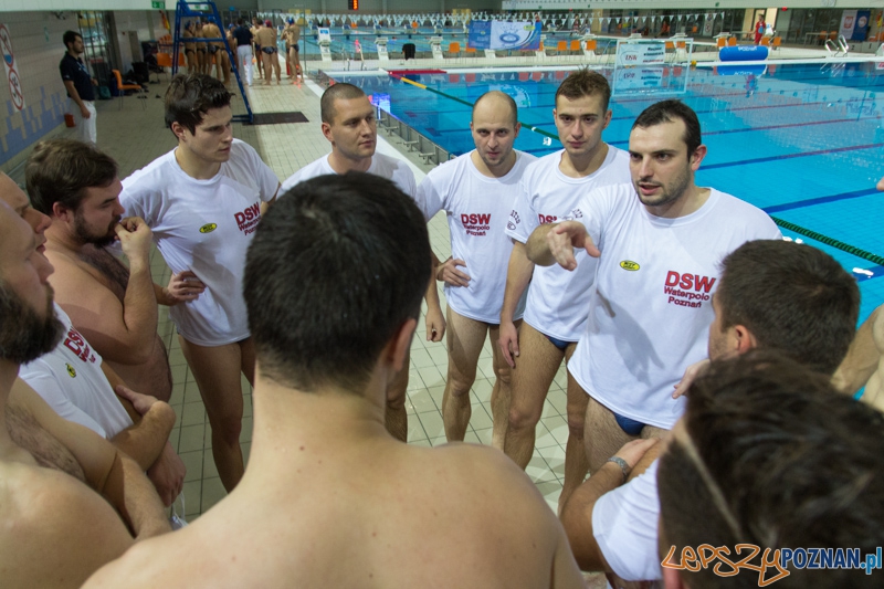 DSW Waterpolo Poznań - WTS Bytom, Termy Maltańskie 23.11.2013 r. Foto: lepszyPOZNAN.pl / Piotr Rychter DSW Waterpolo Poznań - WTS Bytom, Termy Maltańskie 23.11.2013 r. Foto: lepszyPOZNAN.pl / Piotr Rychter