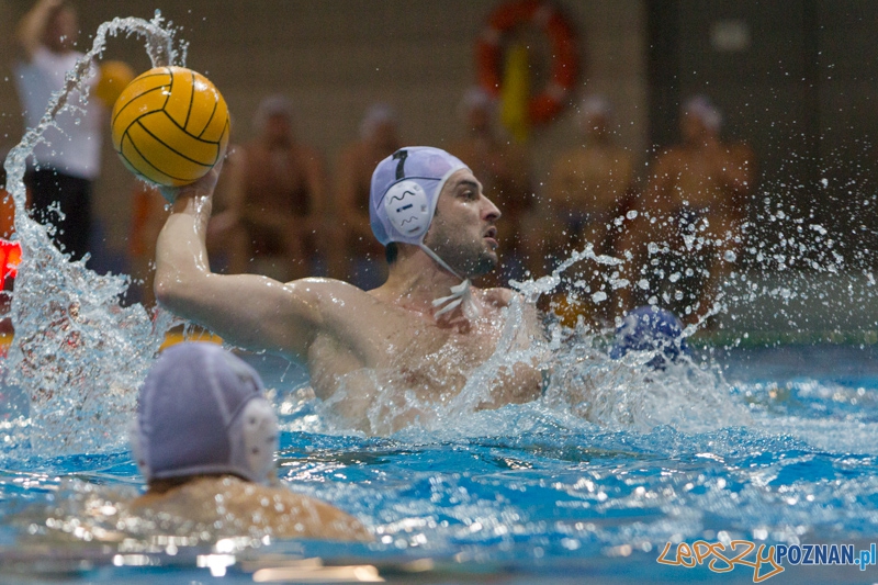 DSW Waterpolo Poznań - WTS Bytom, Termy Maltańskie 23.11.2013 r. (Tomasz Różycki) Foto: lepszyPOZNAN.pl / Piotr Rychter DSW Waterpolo Poznań - WTS Bytom, Termy Maltańskie 23.11.2013 r. (Tomasz Różycki) Foto: lepszyPOZNAN.pl / Piotr Rychter