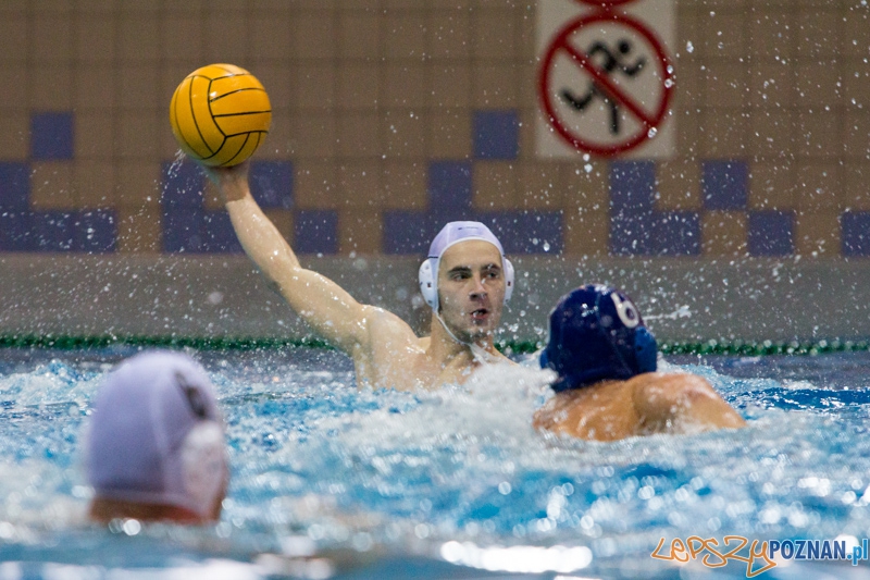 DSW Waterpolo Poznań - WTS Bytom, Termy Maltańskie 24.11.2013 r. Foto: lepszyPOZNAN.pl / Piotr Rychter DSW Waterpolo Poznań - WTS Bytom, Termy Maltańskie 24.11.2013 r. Foto: lepszyPOZNAN.pl / Piotr Rychter