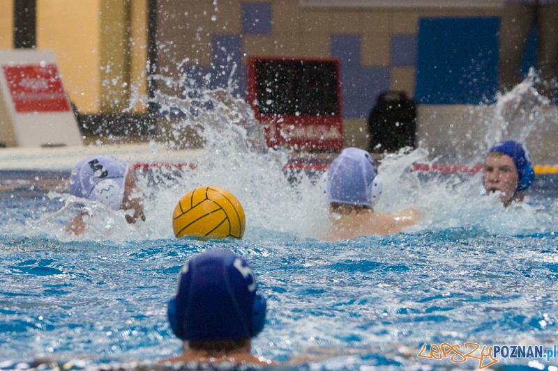 DSW Waterpolo Poznań - WTS Bytom, Termy Maltańskie 24.11.2013 r.  Foto: lepszyPOZNAN.pl / Piotr Rychter