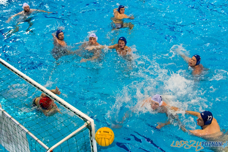 DSW Waterpolo Poznań - WTS Bytom, Termy Maltańskie 23.11.2013 r. Foto: lepszyPOZNAN.pl / Piotr Rychter DSW Waterpolo Poznań - WTS Bytom, Termy Maltańskie 23.11.2013 r. Foto: lepszyPOZNAN.pl / Piotr Rychter