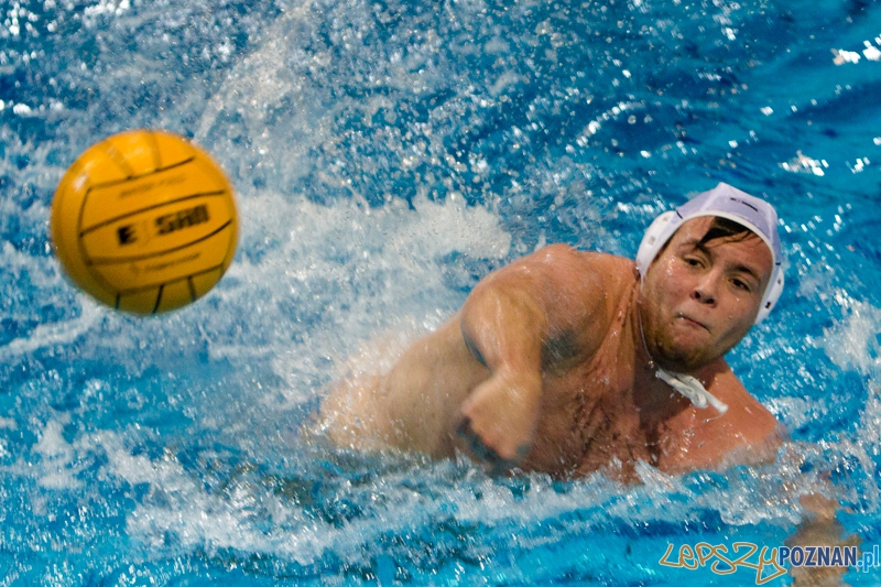 DSW Waterpolo Poznań - WTS Bytom, Termy Maltańskie 23.11.2013 r. Foto: lepszyPOZNAN.pl / Piotr Rychter DSW Waterpolo Poznań - WTS Bytom, Termy Maltańskie 23.11.2013 r. Foto: lepszyPOZNAN.pl / Piotr Rychter