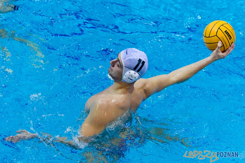 DSW Waterpolo Poznań - WTS Bytom, Termy Maltańskie 23.11.2013 r. (Oskar Szymonik) Foto: lepszyPOZNAN.pl / Piotr Rychter DSW Waterpolo Poznań - WTS Bytom, Termy Maltańskie 23.11.2013 r. (Oskar Szymonik) Foto: lepszyPOZNAN.pl / Piotr Rychter