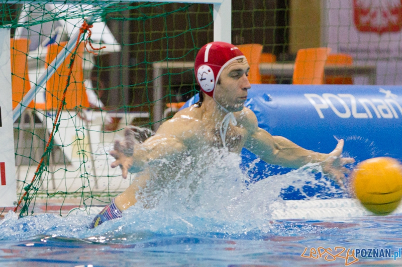 DSW Waterpolo Poznań - WTS Bytom, Termy Maltańskie 23.11.2013 r. (Mishanya Yazerski) Foto: lepszyPOZNAN.pl / Piotr Rychter DSW Waterpolo Poznań - WTS Bytom, Termy Maltańskie 23.11.2013 r. (Mishanya Yazerski) Foto: lepszyPOZNAN.pl / Piotr Rychter
