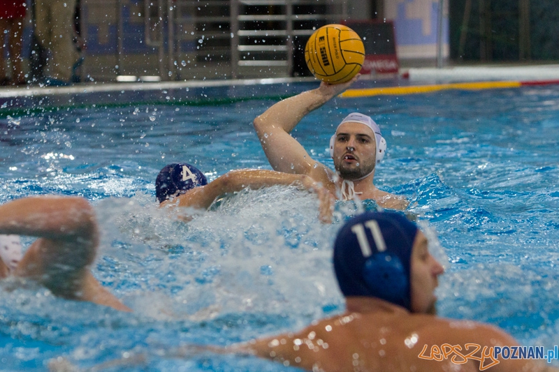 DSW Waterpolo Poznań - WTS Bytom, Termy Maltańskie 24.11.2013 r. (Tomasz Różycki) Foto: lepszyPOZNAN.pl / Piotr Rychter DSW Waterpolo Poznań - WTS Bytom, Termy Maltańskie 24.11.2013 r. (Tomasz Różycki) Foto: lepszyPOZNAN.pl / Piotr Rychter