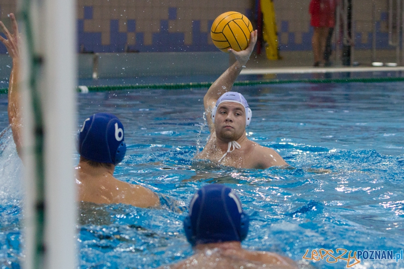 DSW Waterpolo Poznań - WTS Bytom, Termy Maltańskie 24.11.2013 r. Foto: lepszyPOZNAN.pl / Piotr Rychter DSW Waterpolo Poznań - WTS Bytom, Termy Maltańskie 24.11.2013 r. Foto: lepszyPOZNAN.pl / Piotr Rychter