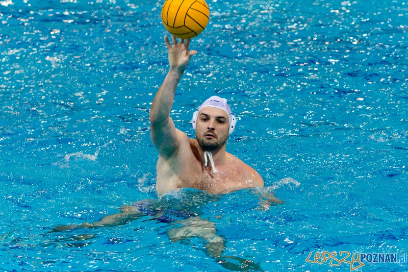 DSW Waterpolo Poznań - WTS Bytom, Termy Maltańskie 23.11.2013 r. (Tomasz Różycki) Foto: lepszyPOZNAN.pl / Piotr Rychter DSW Waterpolo Poznań - WTS Bytom, Termy Maltańskie 23.11.2013 r. (Tomasz Różycki) Foto: lepszyPOZNAN.pl / Piotr Rychter