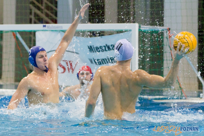 DSW Waterpolo Poznań - WTS Bytom, Termy Maltańskie 23.11.2013 r. (Oskar Szymonik) Foto: lepszyPOZNAN.pl / Piotr Rychter DSW Waterpolo Poznań - WTS Bytom, Termy Maltańskie 23.11.2013 r. (Oskar Szymonik) Foto: lepszyPOZNAN.pl / Piotr Rychter