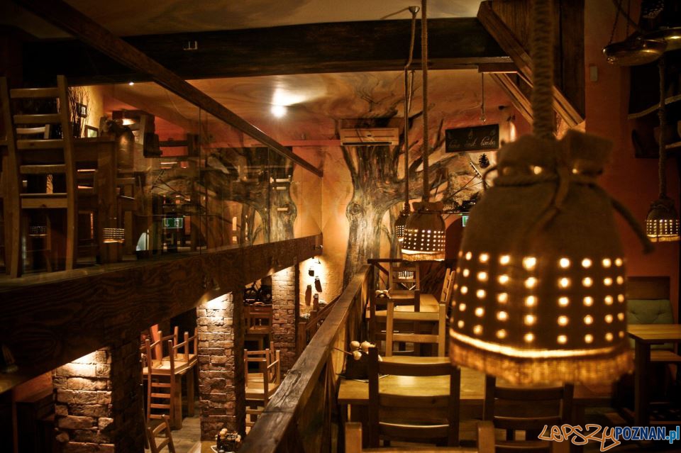 Chatka Babuni - wnetrze Foto: Qlinarny Qń - Daniel Konieczny Chatka Babuni - wnetrze Foto: Qlinarny Qń - Daniel Konieczny