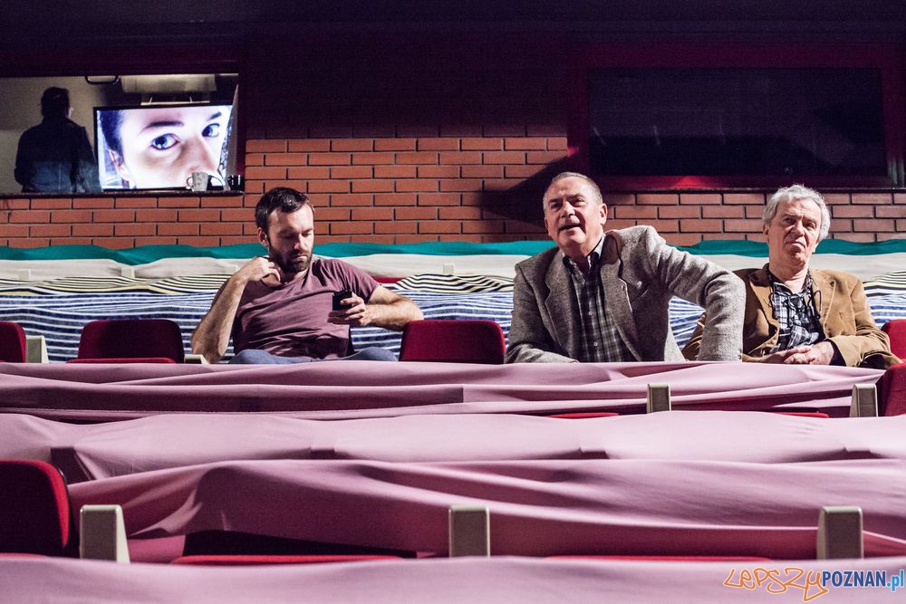 Goraczka czerwcowej nocy (4) Foto: Jakub Wittchen Goraczka czerwcowej nocy (4) Foto: Jakub Wittchen