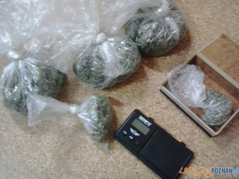 Narkotyki zabezpieczne przez Policję Foto: Policja w Poznaniu Narkotyki zabezpieczne przez Policję Foto: Policja w Poznaniu