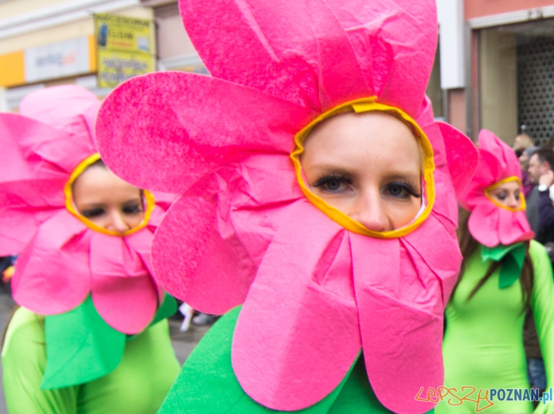 Imieniny Świętego Marcina - pochód. 11.11.2013 r. Foto: lepszyPOZNAN.pl / Piotr Rychter Imieniny Świętego Marcina - pochód. 11.11.2013 r. Foto: lepszyPOZNAN.pl / Piotr Rychter