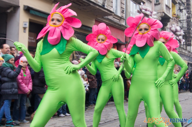 Imieniny Świętego Marcina - pochód. 11.11.2013 r. Foto: lepszyPOZNAN.pl / Piotr Rychter Imieniny Świętego Marcina - pochód. 11.11.2013 r. Foto: lepszyPOZNAN.pl / Piotr Rychter