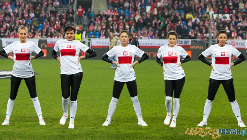 Mecz towarzyski Polska - Irlandia, Poznań Inea Stadion - 19.11.2013 r. Foto: lepszyPOZNAN.pl/ Piotr Rychter Mecz towarzyski Polska - Irlandia, Poznań Inea Stadion - 19.11.2013 r. Foto: lepszyPOZNAN.pl/ Piotr Rychter
