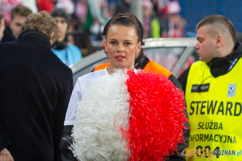 Mecz towarzyski Polska - Irlandia, Poznań Inea Stadion - 19.11.2013 r. Foto: lepszyPOZNAN.pl/ Piotr Rychter Mecz towarzyski Polska - Irlandia, Poznań Inea Stadion - 19.11.2013 r. Foto: lepszyPOZNAN.pl/ Piotr Rychter