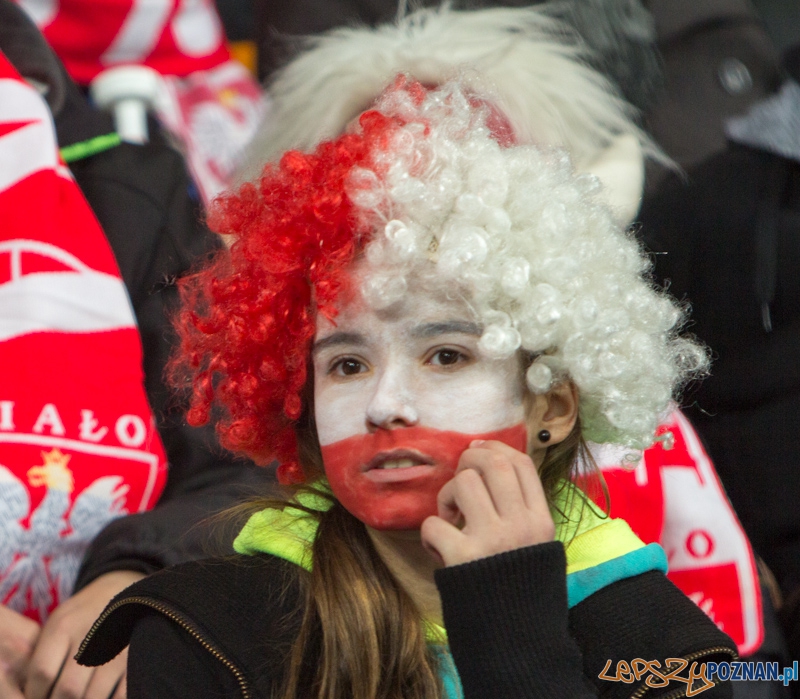 Mecz towarzyski Polska - Irlandia, Poznań Inea Stadion - 19.11.2013 r. Foto: lepszyPOZNAN.pl/ Piotr Rychter Mecz towarzyski Polska - Irlandia, Poznań Inea Stadion - 19.11.2013 r. Foto: lepszyPOZNAN.pl/ Piotr Rychter
