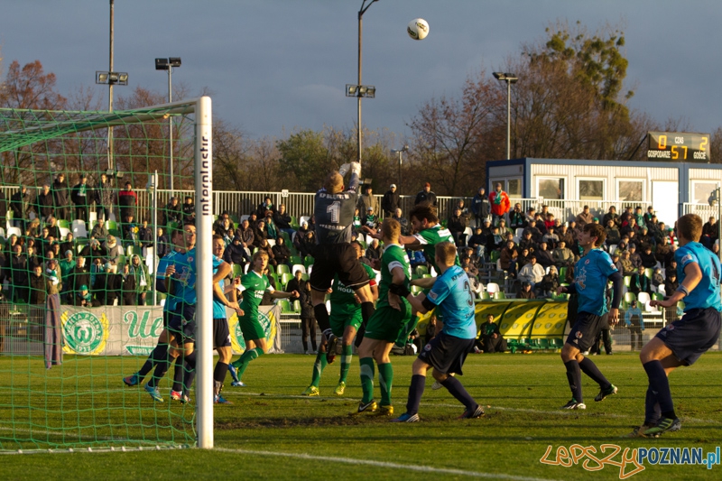 Warta Poznań - Błękitni Stargard Szczeciński - Ogródek 9.11.2013 r. Foto: lepszyPOZNAN.pl / Piotr Rychter Warta Poznań - Błękitni Stargard Szczeciński - Ogródek 9.11.2013 r. Foto: lepszyPOZNAN.pl / Piotr Rychter