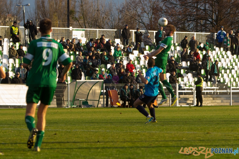Warta Poznań - Błękitni Stargard Szczeciński - Ogródek 9.11.2013 r. Foto: lepszyPOZNAN.pl / Piotr Rychter Warta Poznań - Błękitni Stargard Szczeciński - Ogródek 9.11.2013 r. Foto: lepszyPOZNAN.pl / Piotr Rychter
