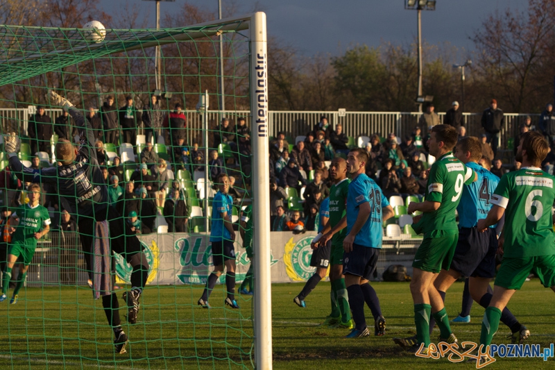 Warta Poznań - Błękitni Stargard Szczeciński - Ogródek 9.11.2013 r. Foto: lepszyPOZNAN.pl / Piotr Rychter Warta Poznań - Błękitni Stargard Szczeciński - Ogródek 9.11.2013 r. Foto: lepszyPOZNAN.pl / Piotr Rychter