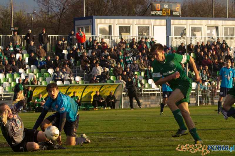 Warta Poznań - Błękitni Stargard Szczeciński - Ogródek 9.11.2013 r. Foto: lepszyPOZNAN.pl / Piotr Rychter Warta Poznań - Błękitni Stargard Szczeciński - Ogródek 9.11.2013 r. Foto: lepszyPOZNAN.pl / Piotr Rychter