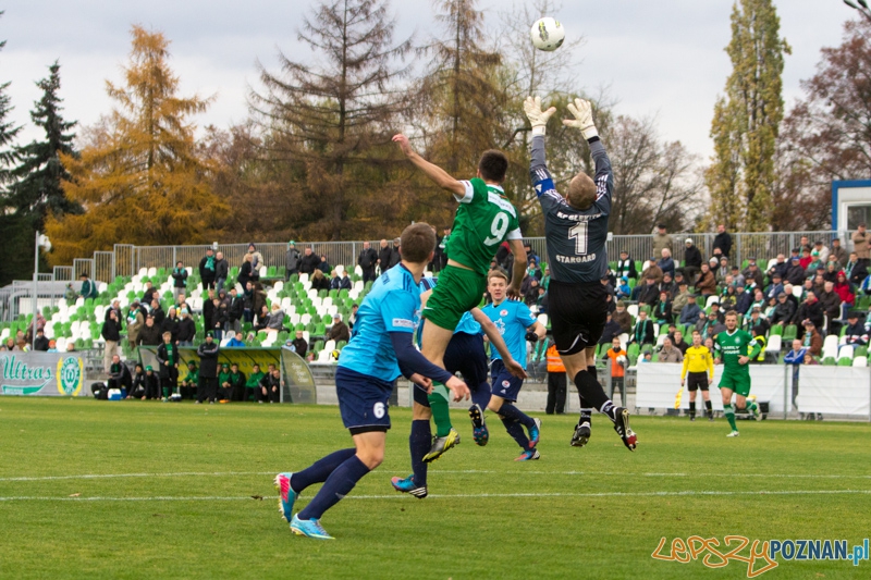 Warta Poznań - Błękitni Stargard Szczeciński - Ogródek 9.11.2013 r. Foto: lepszyPOZNAN.pl / Piotr Rychter Warta Poznań - Błękitni Stargard Szczeciński - Ogródek 9.11.2013 r. Foto: lepszyPOZNAN.pl / Piotr Rychter