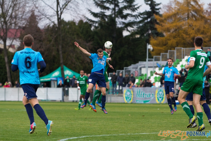 Warta Poznań - Błękitni Stargard Szczeciński - Ogródek 9.11.2013 r. Foto: lepszyPOZNAN.pl / Piotr Rychter Warta Poznań - Błękitni Stargard Szczeciński - Ogródek 9.11.2013 r. Foto: lepszyPOZNAN.pl / Piotr Rychter