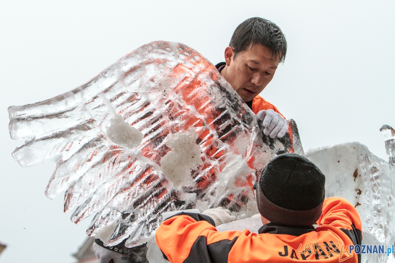 VIII Międzynarodowy Festiwal Rzeźb Lodowych - Poznań 15.12.2013 r. Foto: LepszyPOZNAN.pl / Paweł Rychter VIII Międzynarodowy Festiwal Rzeźb Lodowych - Poznań 15.12.2013 r. Foto: LepszyPOZNAN.pl / Paweł Rychter