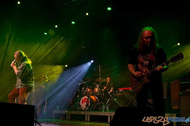 Zespół Dżem w Poznaniu Foto: (c) Anna Bernard Zespół Dżem w Poznaniu Foto: (c) Anna Bernard