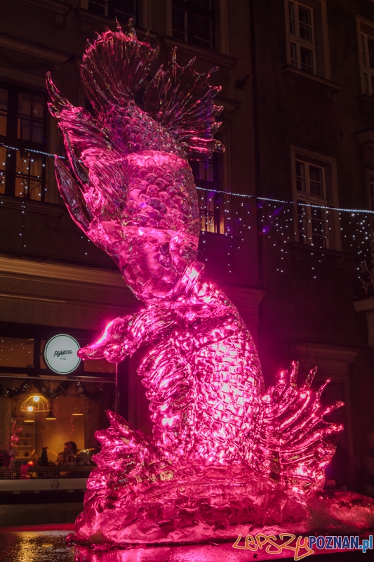 VIII Międzynarodowy Festiwal Rzeźby Lodowej Foto: lepszyPOZNAN.pl / Piotr Rychter VIII Międzynarodowy Festiwal Rzeźby Lodowej Foto: lepszyPOZNAN.pl / Piotr Rychter