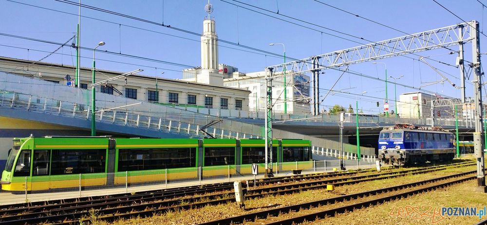 19 - nowa linia tramwajowa  Foto: 