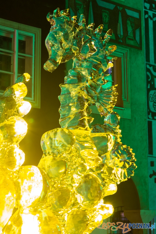 VIII Międzynarodowy Festiwal Rzeźby Lodowej Foto: lepszyPOZNAN.pl / Piotr Rychter VIII Międzynarodowy Festiwal Rzeźby Lodowej Foto: lepszyPOZNAN.pl / Piotr Rychter