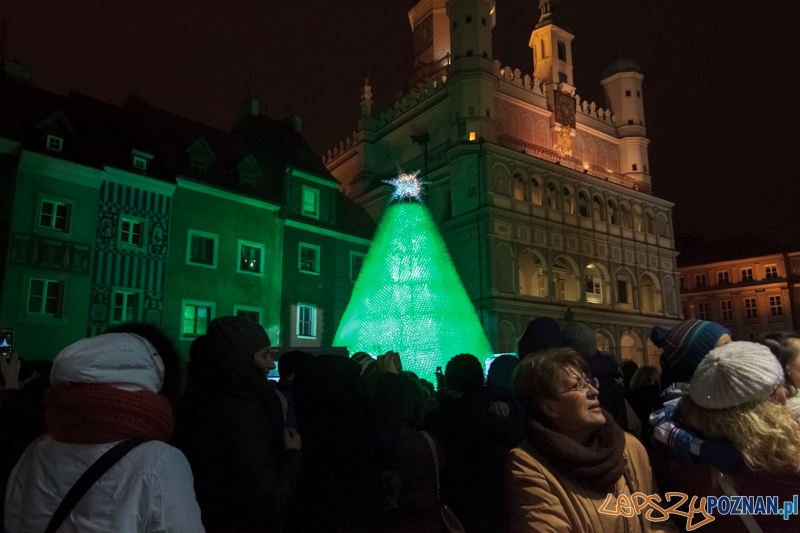 Miejska ekochoinka już rozświetlona - Poznań 14.12.2013 r. Foto: LepszyPOZNAN.pl / Paweł Rychter Miejska ekochoinka już rozświetlona - Poznań 14.12.2013 r. Foto: LepszyPOZNAN.pl / Paweł Rychter