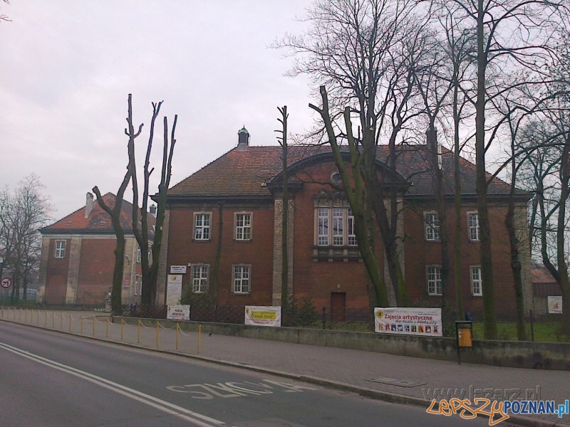 Wycinka na Jarochowskiego Foto: Janusz Ludwiczak/lazarz.pl Wycinka na Jarochowskiego Foto: Janusz Ludwiczak/lazarz.pl