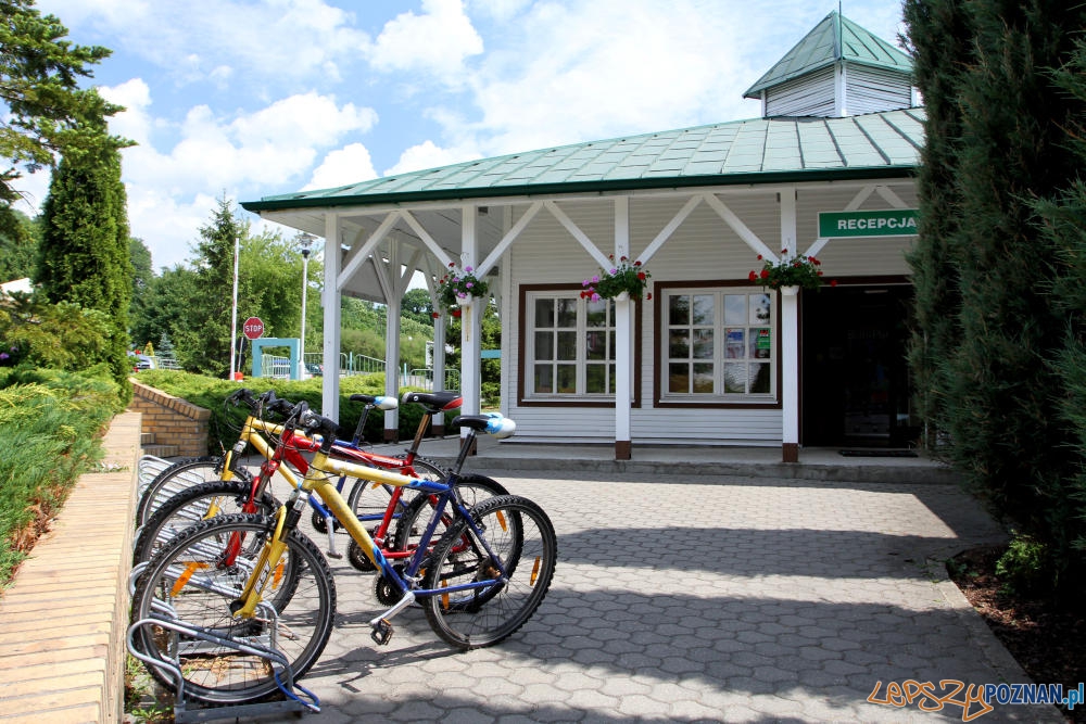 Recepcja campingu Foto: POSiR Recepcja campingu Foto: POSiR