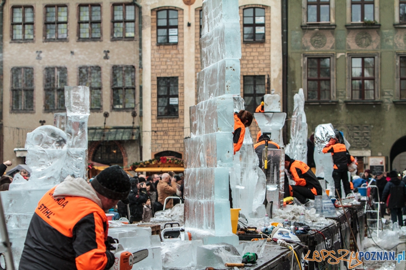 VIII Międzynarodowy Festiwal Rzeźb Lodowych - Poznań 15.12.2013 r.  Foto: LepszyPOZNAN.pl / Paweł Rychter