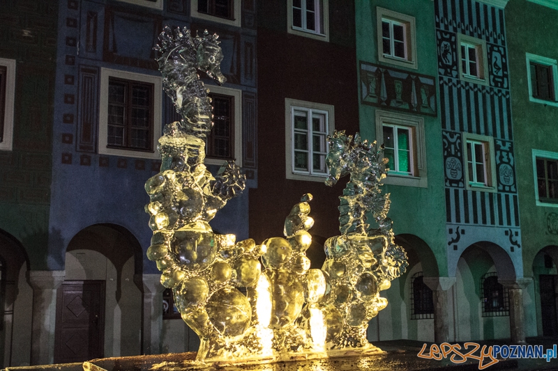VIII Międzynarodowy Festiwal Rzeźb Lodowych - Poznań 15.12.2013 r. Foto: LepszyPOZNAN.pl / Paweł Rychter VIII Międzynarodowy Festiwal Rzeźb Lodowych - Poznań 15.12.2013 r. Foto: LepszyPOZNAN.pl / Paweł Rychter