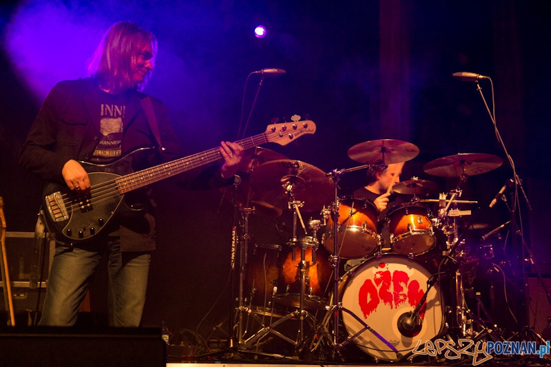 Zespół Dżem w Poznaniu Foto: (c) Anna Bernard Zespół Dżem w Poznaniu Foto: (c) Anna Bernard