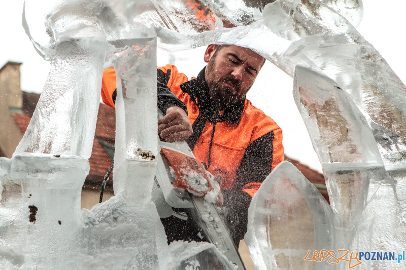 VIII Międzynarodowy Festiwal Rzeźb Lodowych - Poznań 15.12.2013 r. Foto: LepszyPOZNAN.pl / Paweł Rychter VIII Międzynarodowy Festiwal Rzeźb Lodowych - Poznań 15.12.2013 r. Foto: LepszyPOZNAN.pl / Paweł Rychter