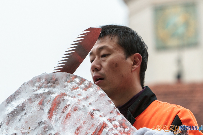 VIII Międzynarodowy Festiwal Rzeźb Lodowych - Poznań 15.12.2013 r. Foto: LepszyPOZNAN.pl / Paweł Rychter VIII Międzynarodowy Festiwal Rzeźb Lodowych - Poznań 15.12.2013 r. Foto: LepszyPOZNAN.pl / Paweł Rychter
